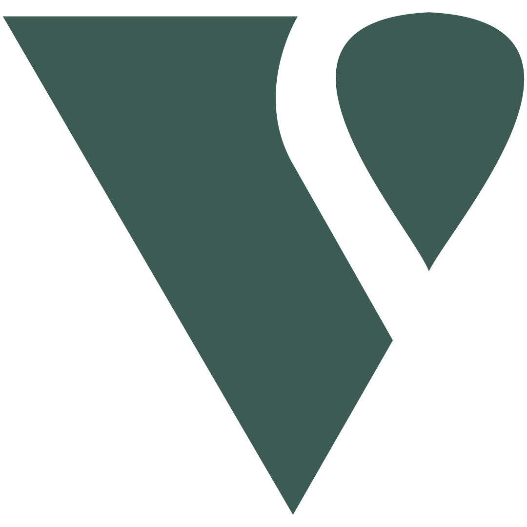 Vis Viva GSM favicon