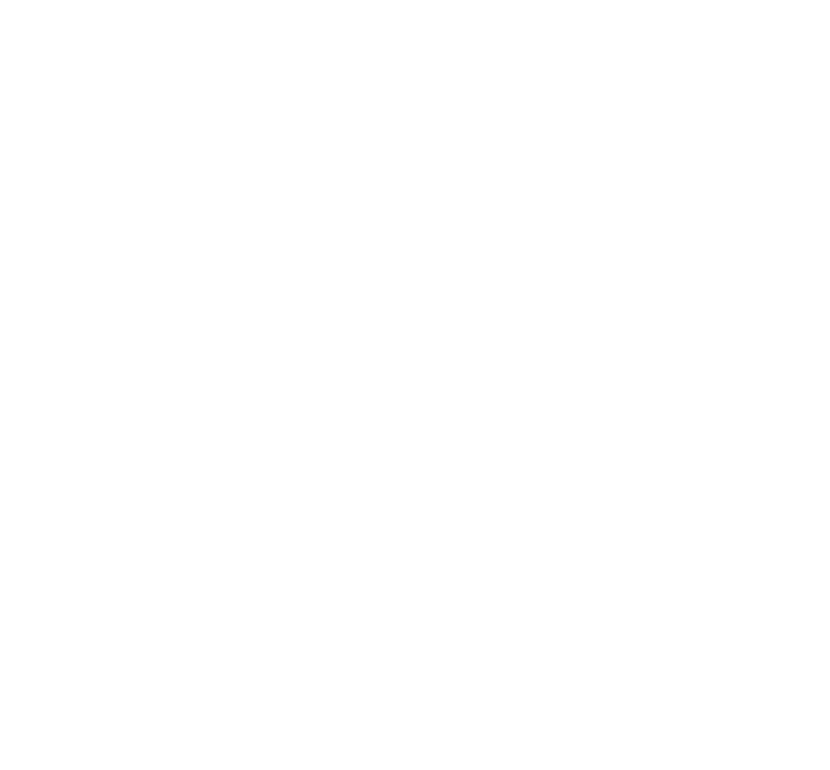 Vis Viva GSM logo