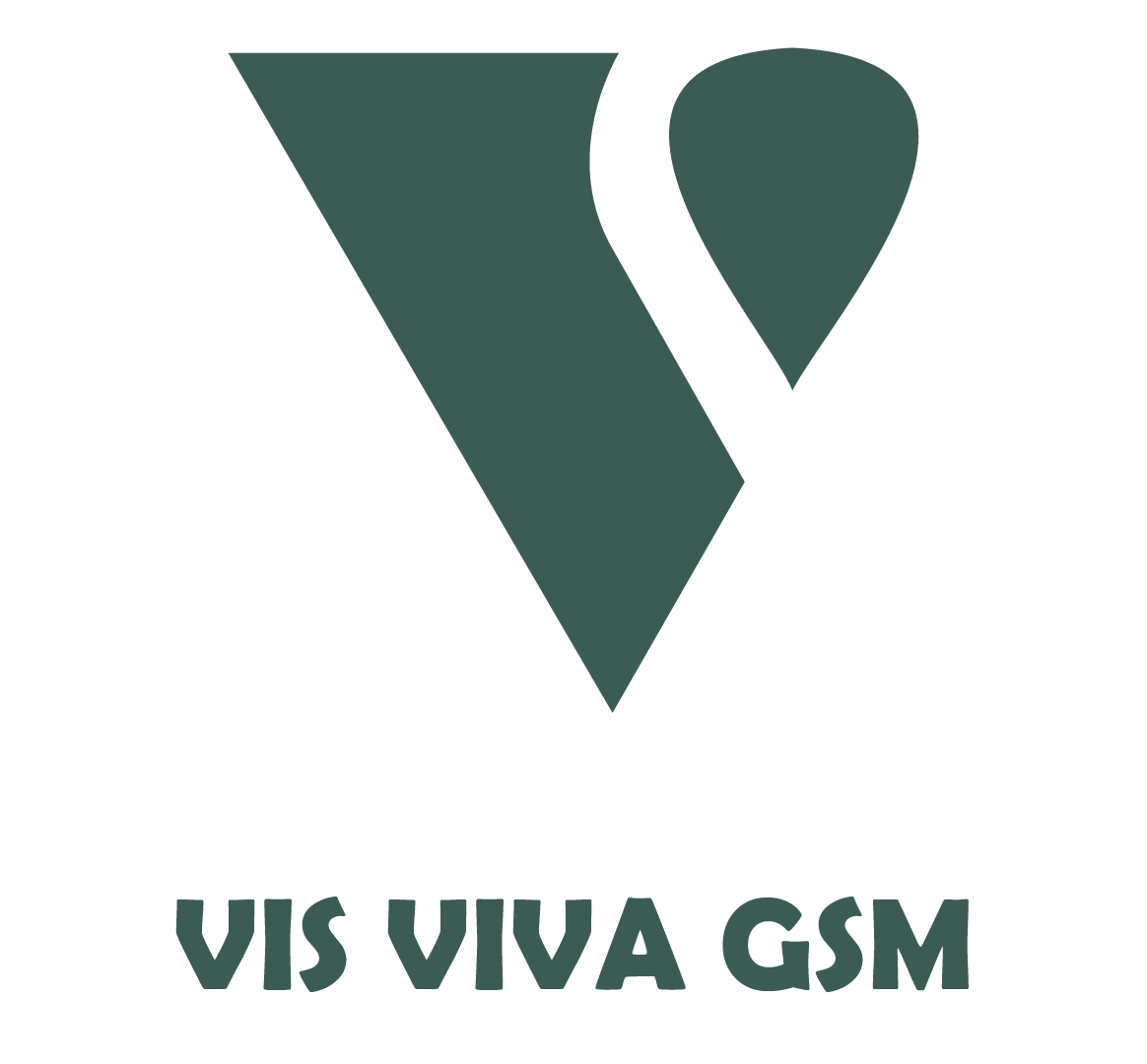 Vis Viva GSM logo